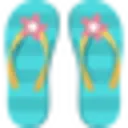 Dazzle Flip Flops